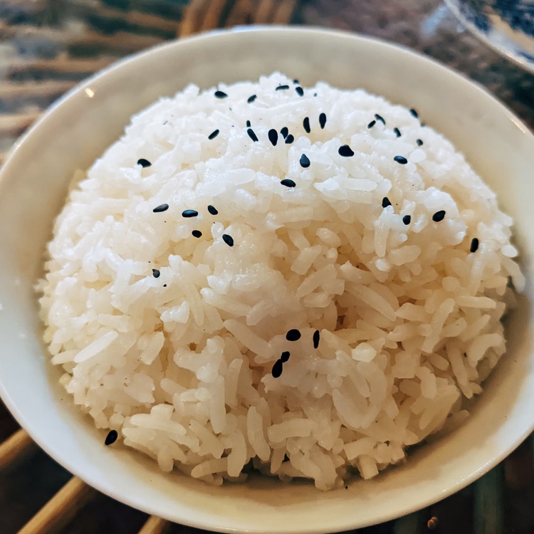 rijstkoker aanbieding